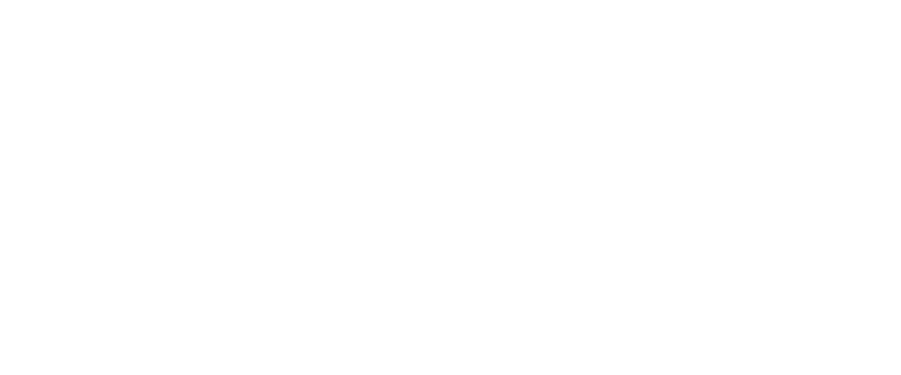 The Wild Andes