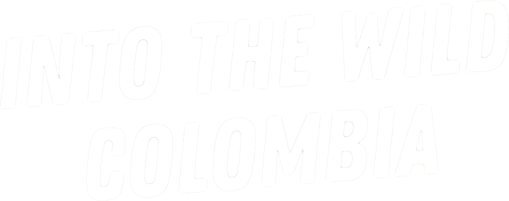 Into the Wild Colombia