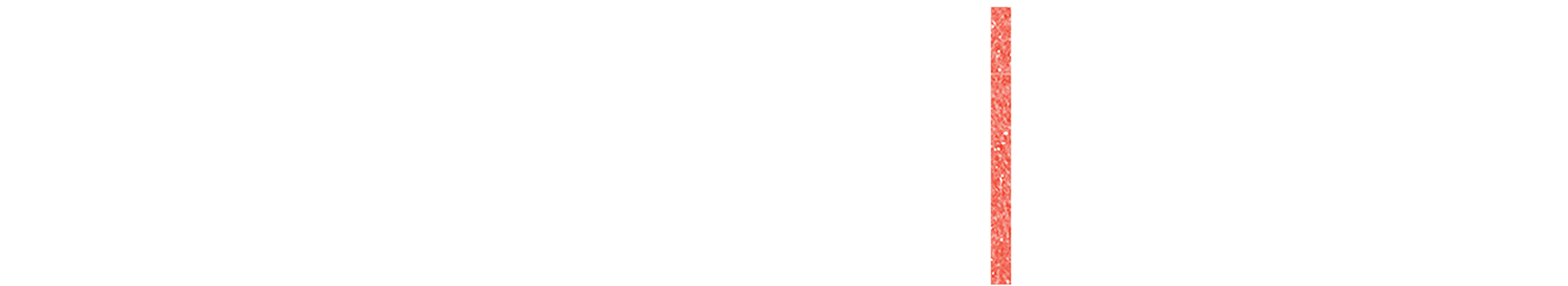 Border Live