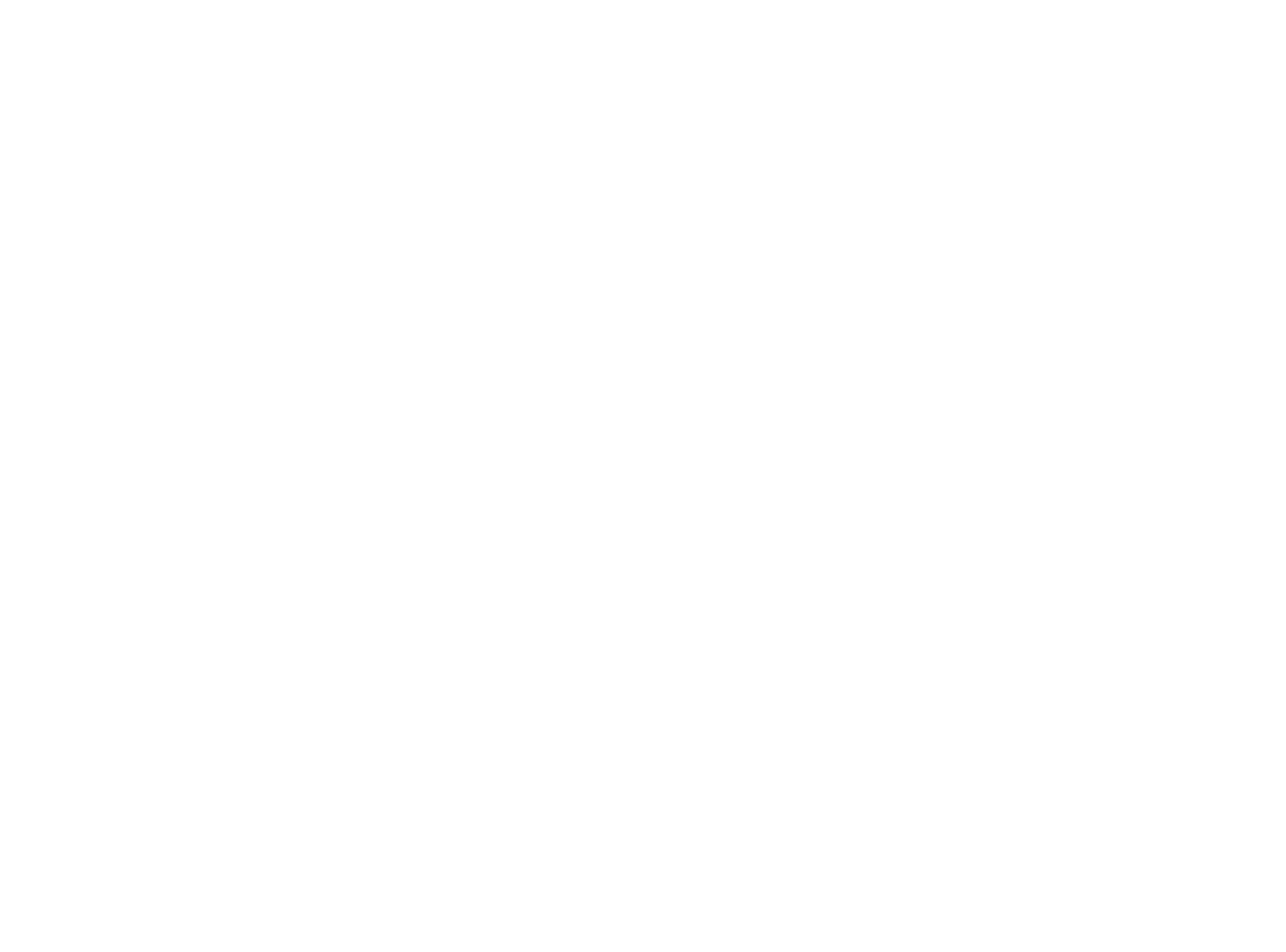 Evan Goes Wild