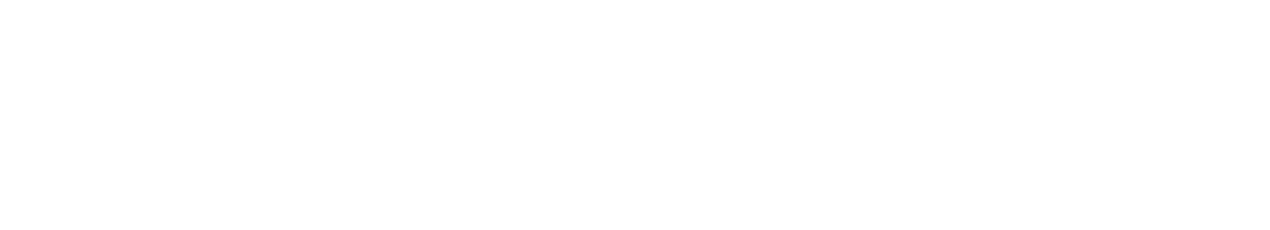 Big Texas Fix show logo