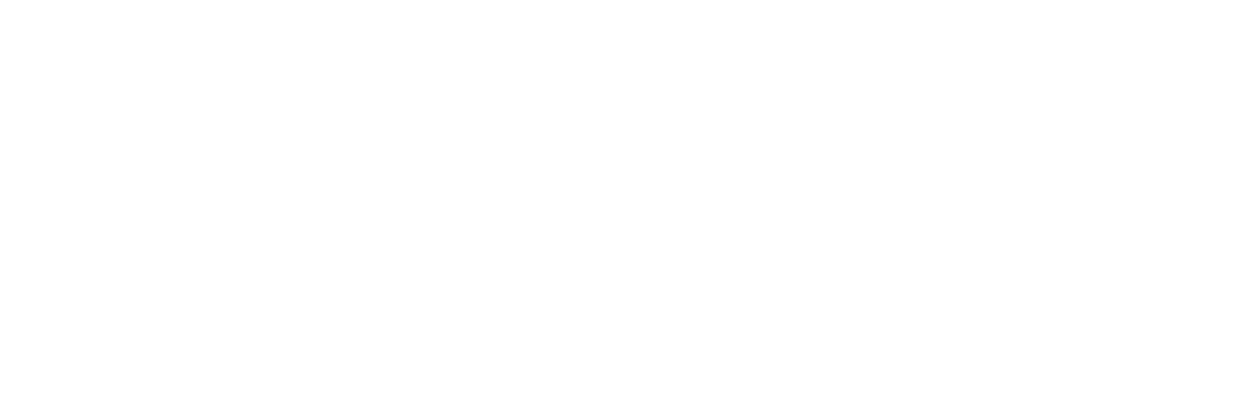 State of the Union