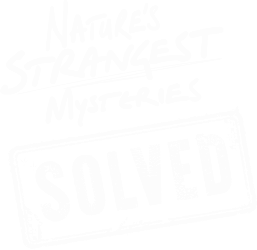 Nature's Strangest Mysteries: Solved show logo