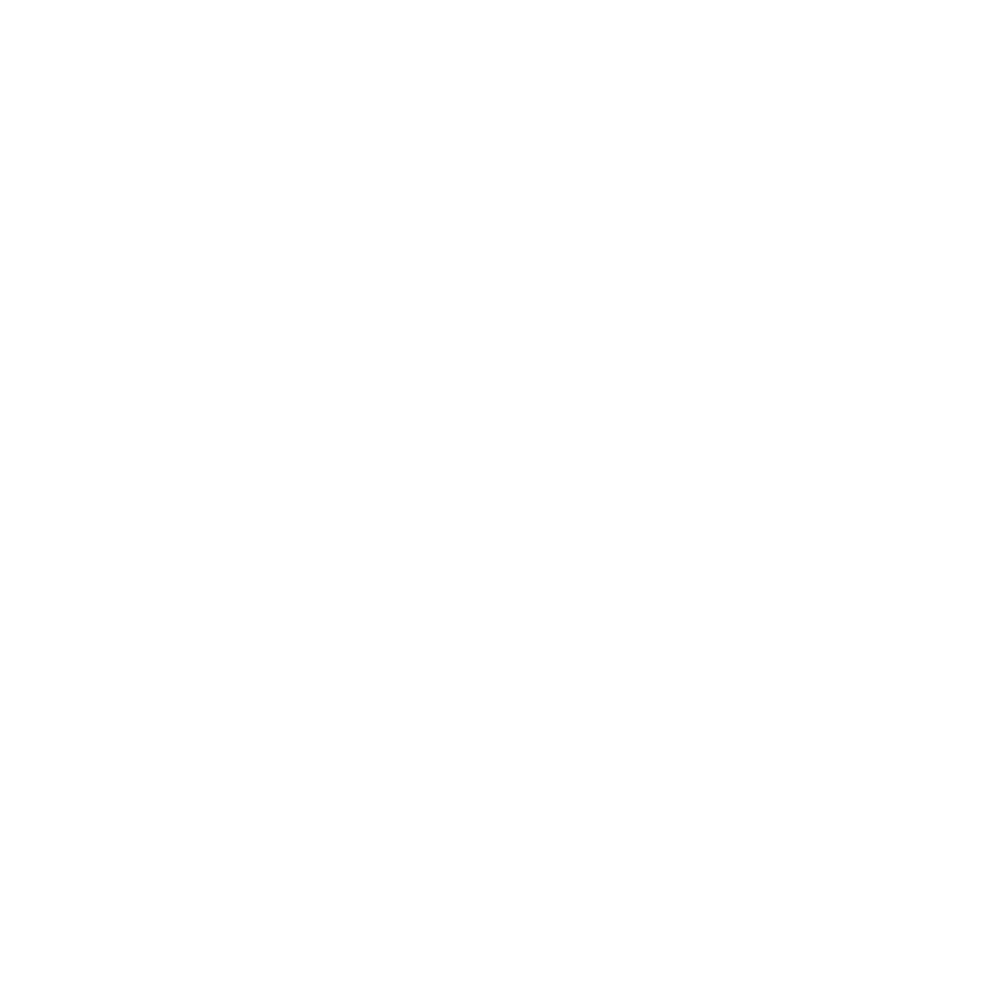 Apollo's Moon Shot