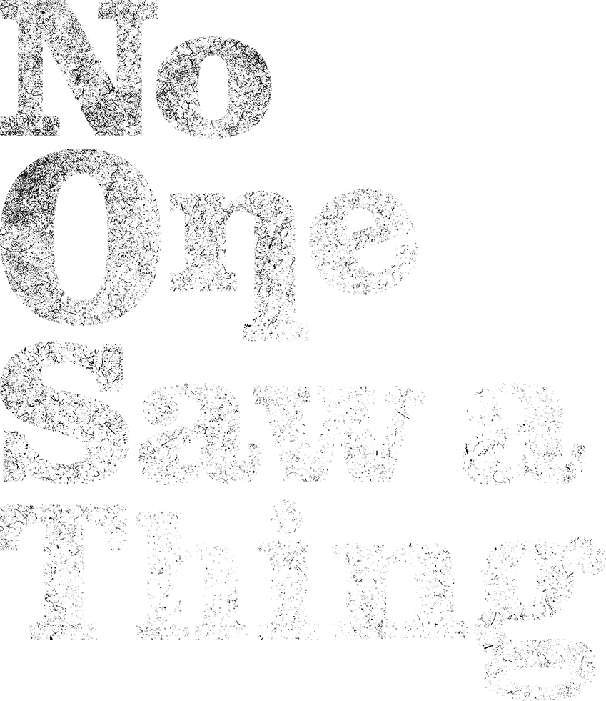 No One Saw a Thing