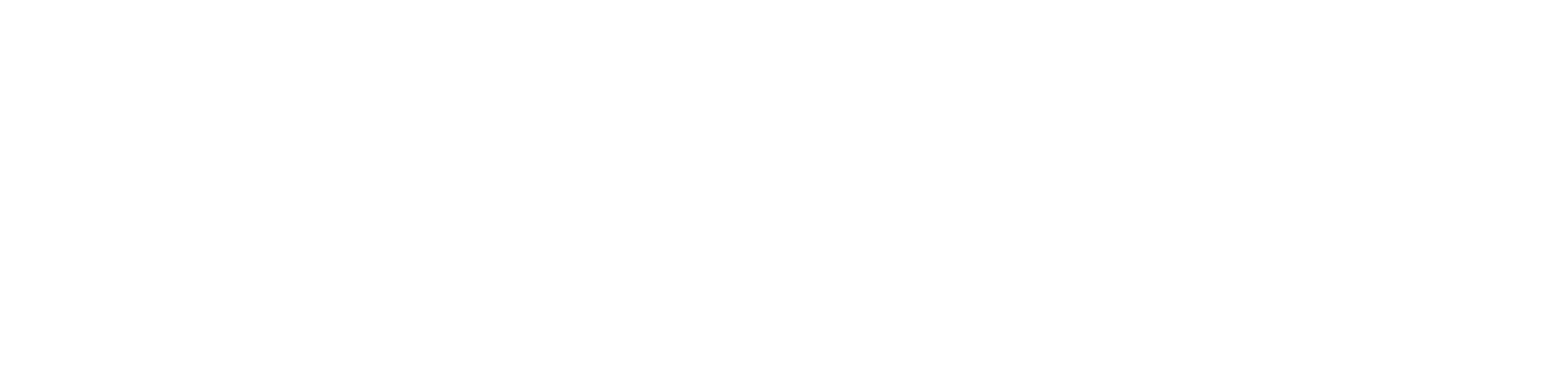 The Secret Lives of Big Cats