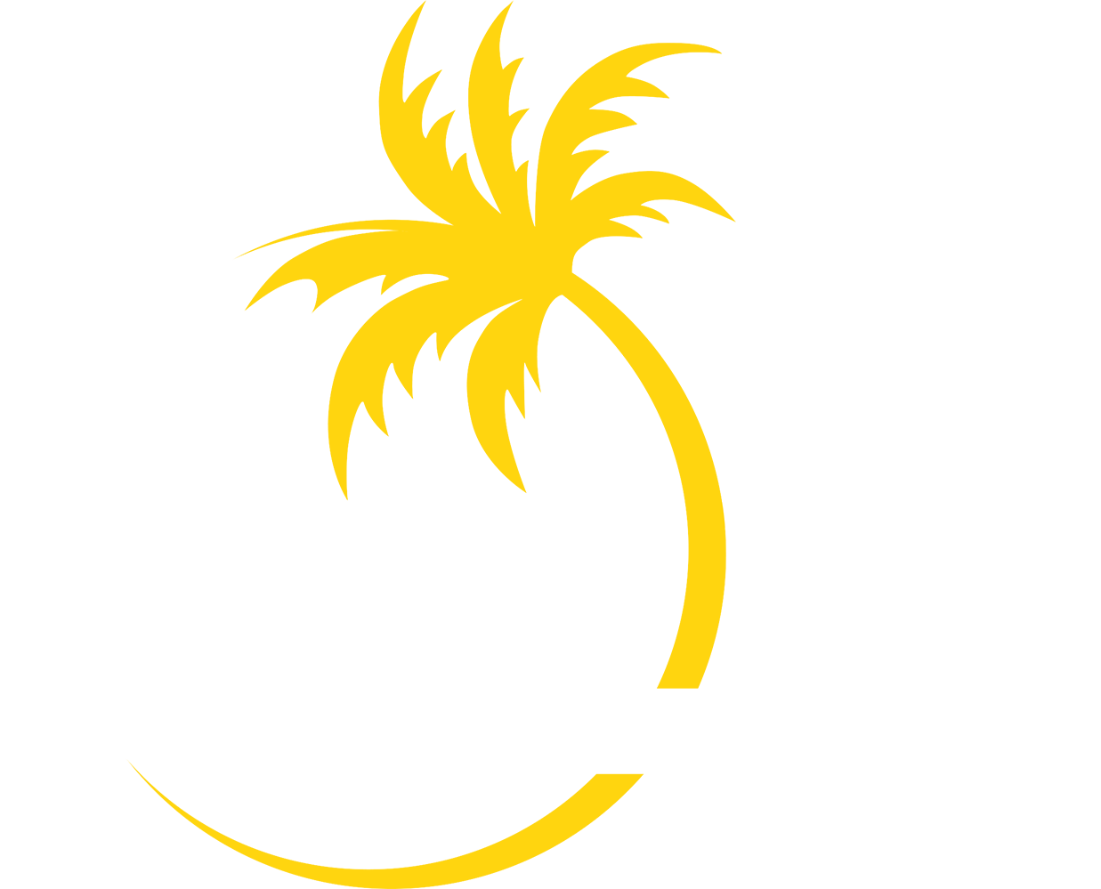 Beach Around the World