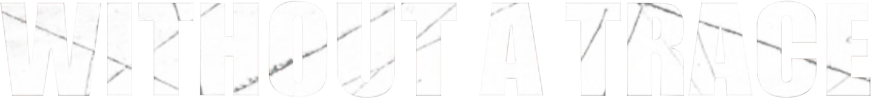Without a Trace show logo