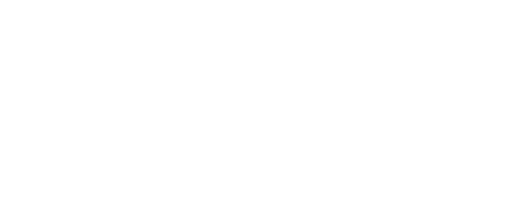 Dog the Bounty Hunter