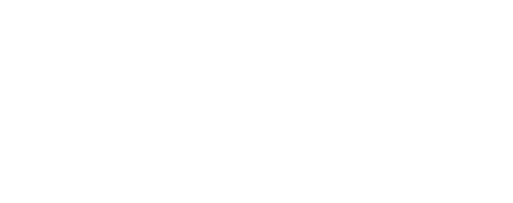 The First 48