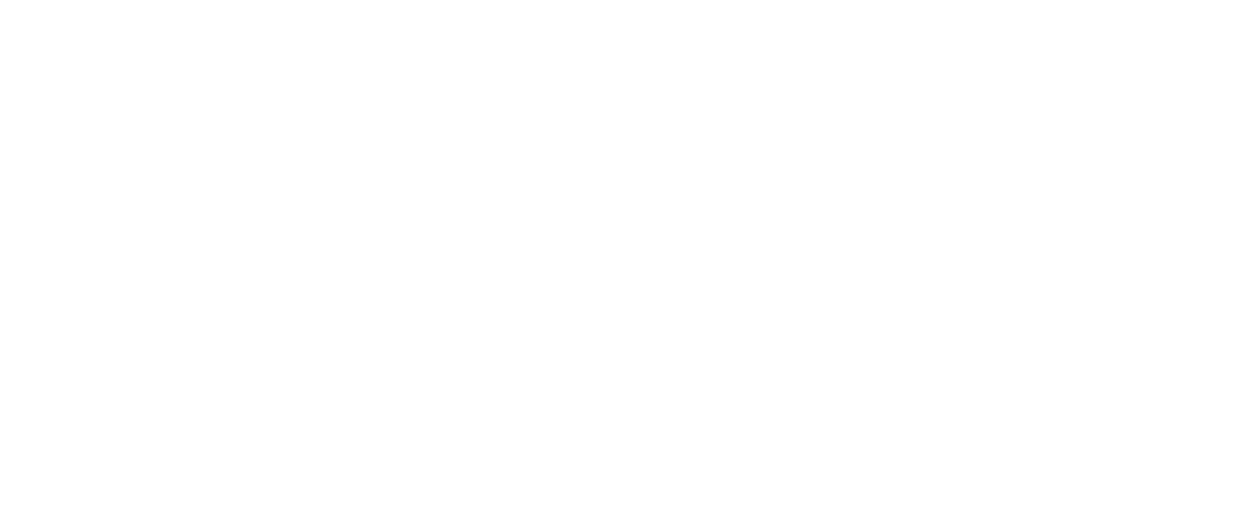 Mega Disasters show logo
