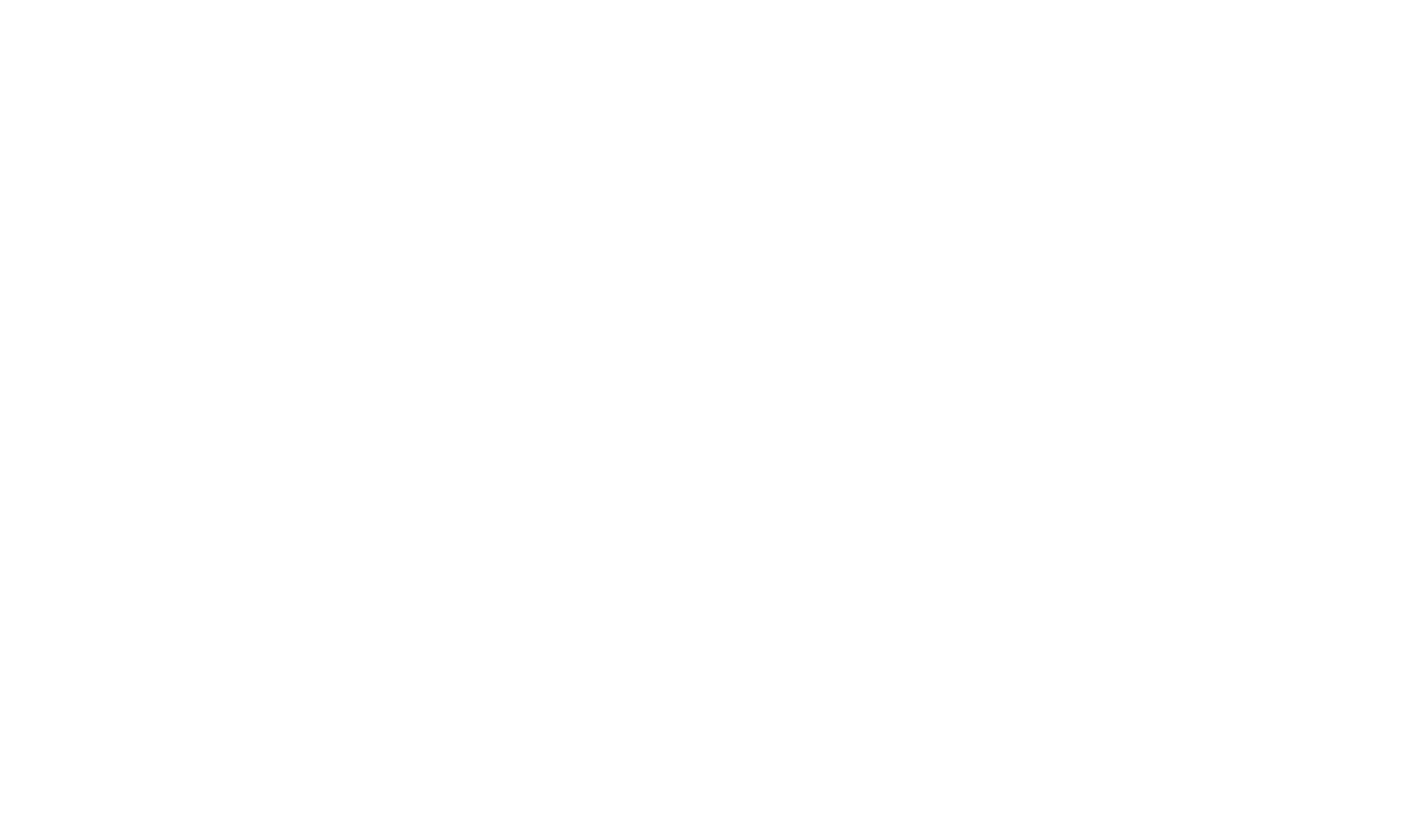 Bone Detectives
