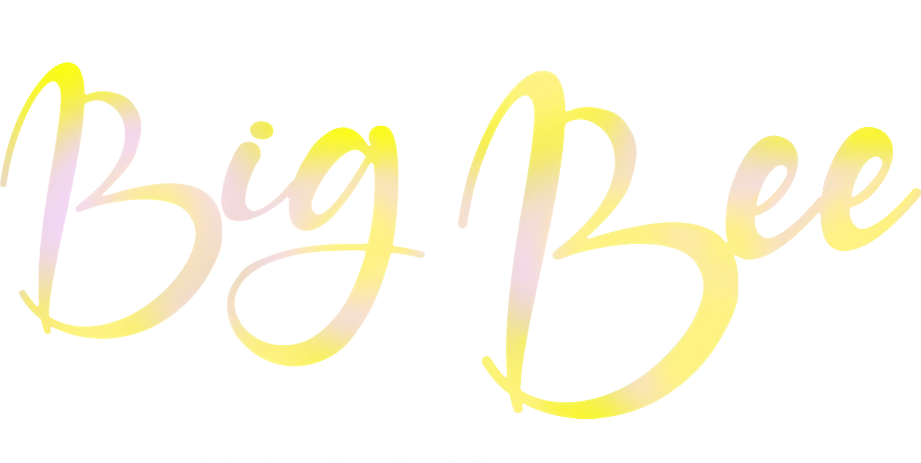 Jimmy's Big Bee Rescue show logo