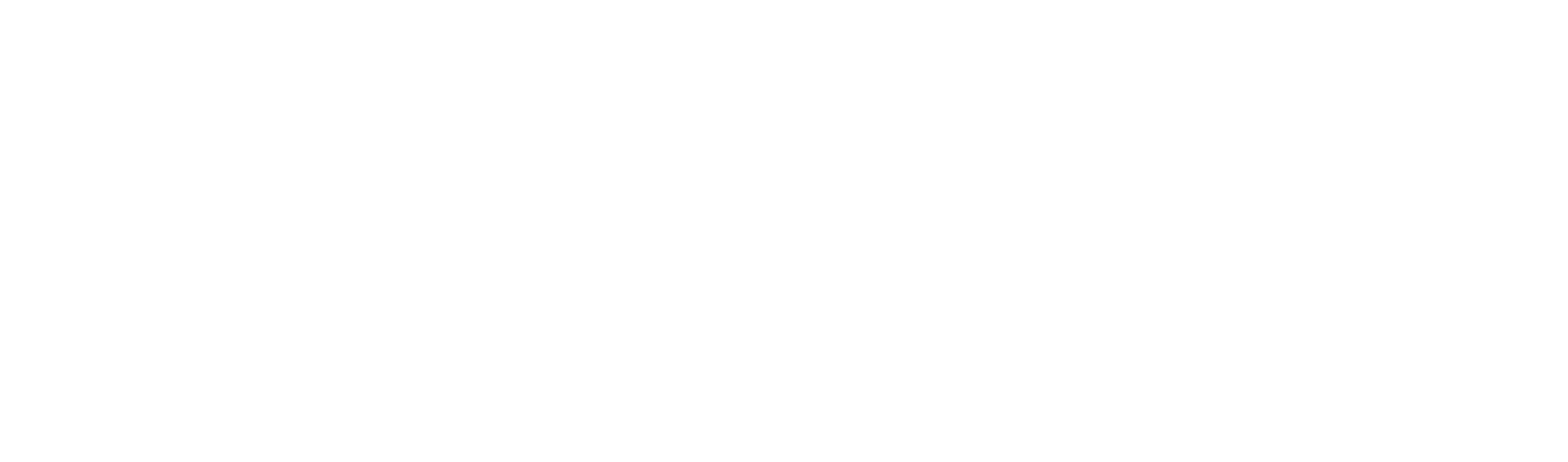 30 Coins show logo