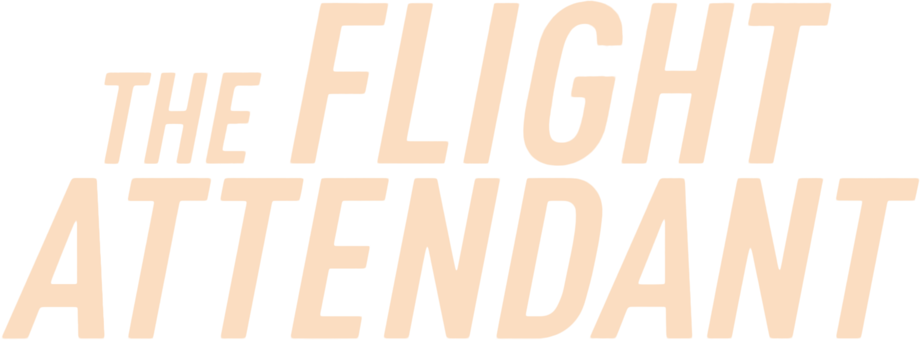 The Flight Attendant