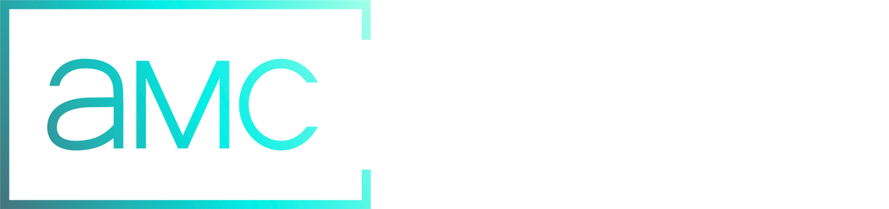 AMC+ Fan Experience