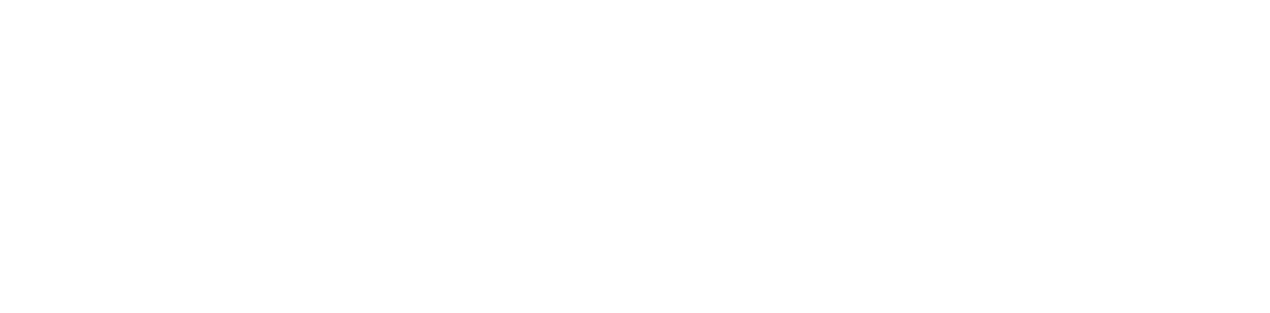 Insecuritea Podcast
