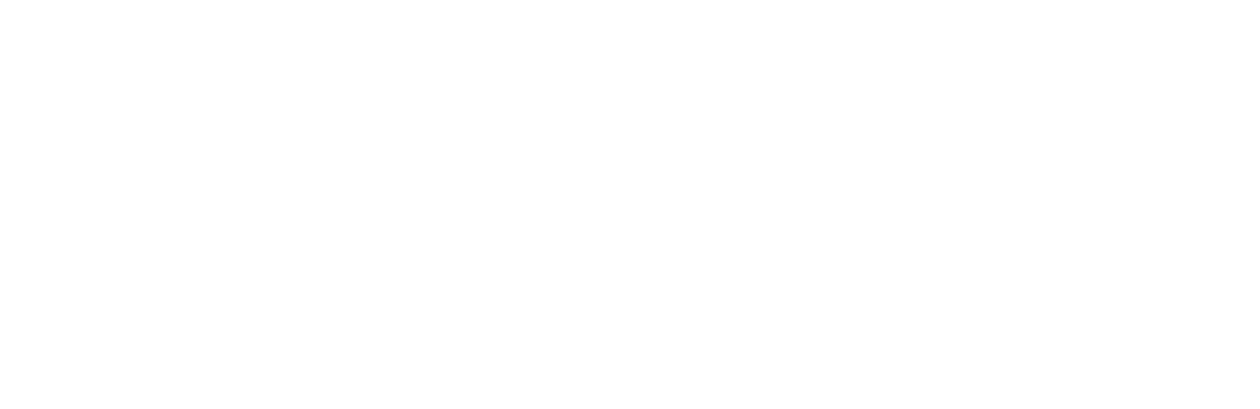 Shadow Force show logo