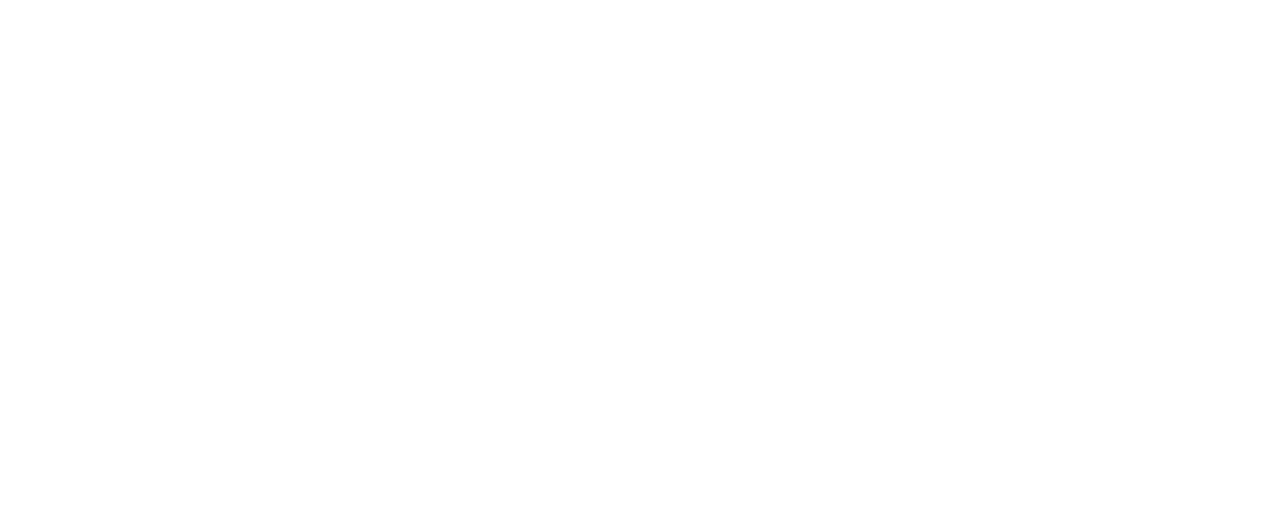 Africa's Wild Year