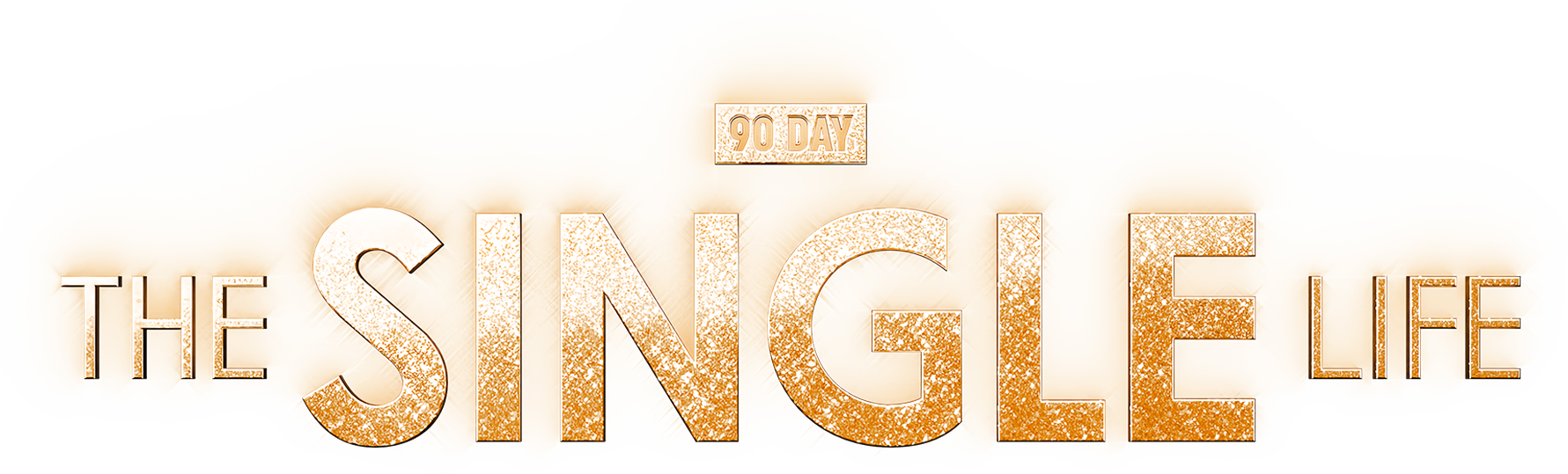 90 Day: The Single Life