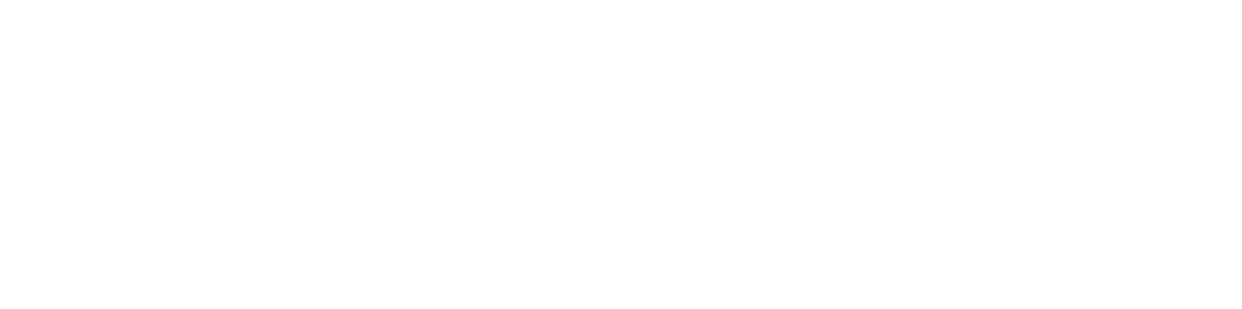 The World of Bridges show logo