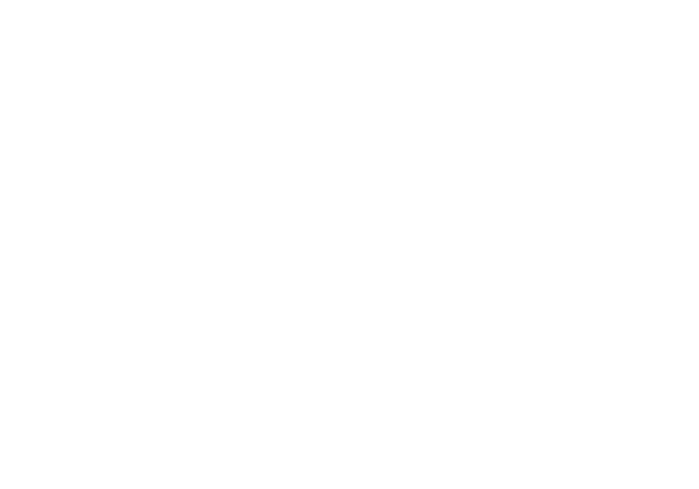 911: The Bronx