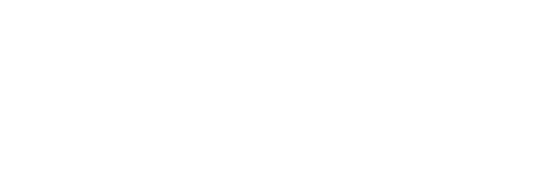 The Johnnyswim Show