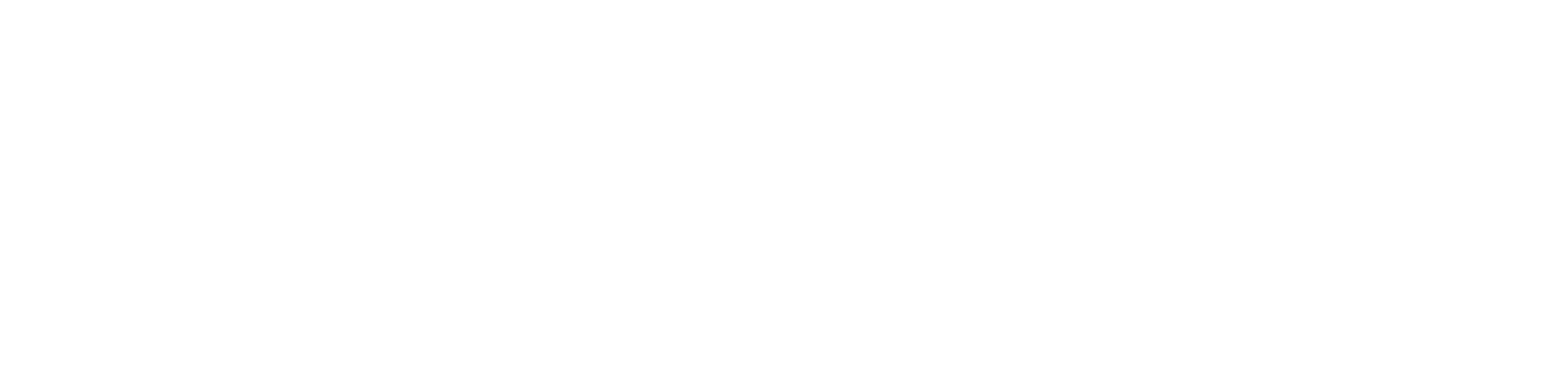 True Crime Story