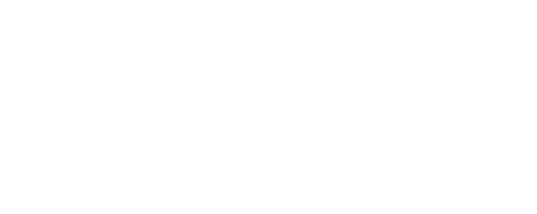 Wild Fighters show logo