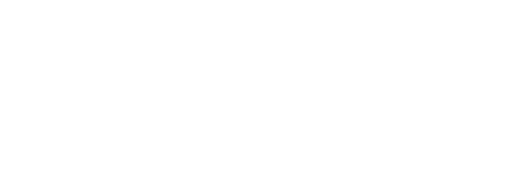 The Chelsea Detective