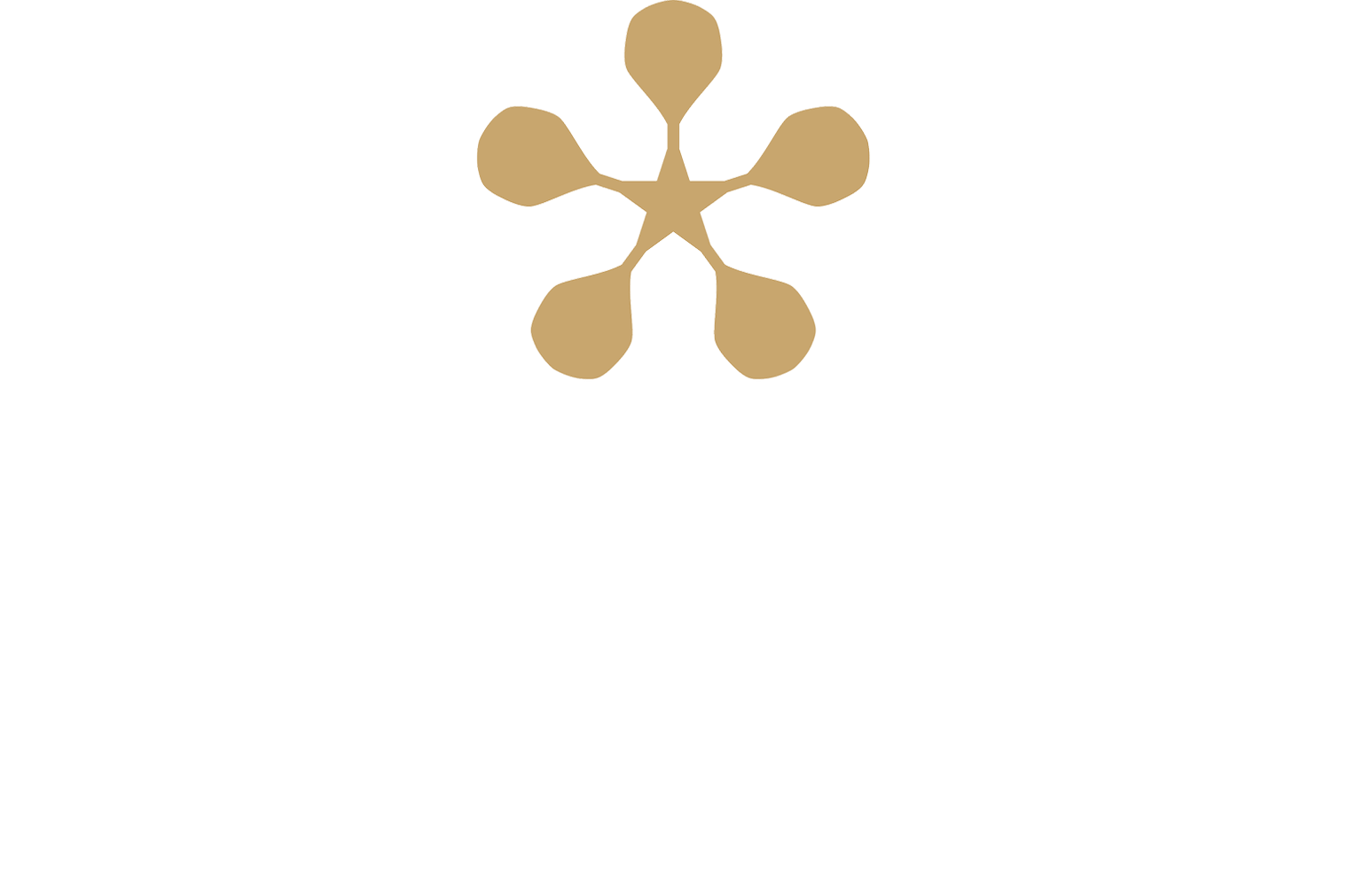 Premier Padel Tennis show logo