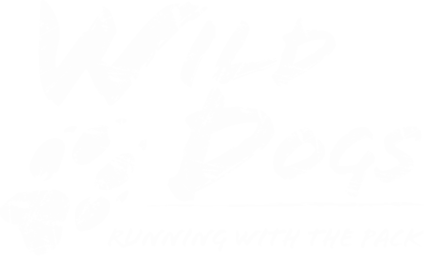 Wild Dogs: Running with the Pack show logo