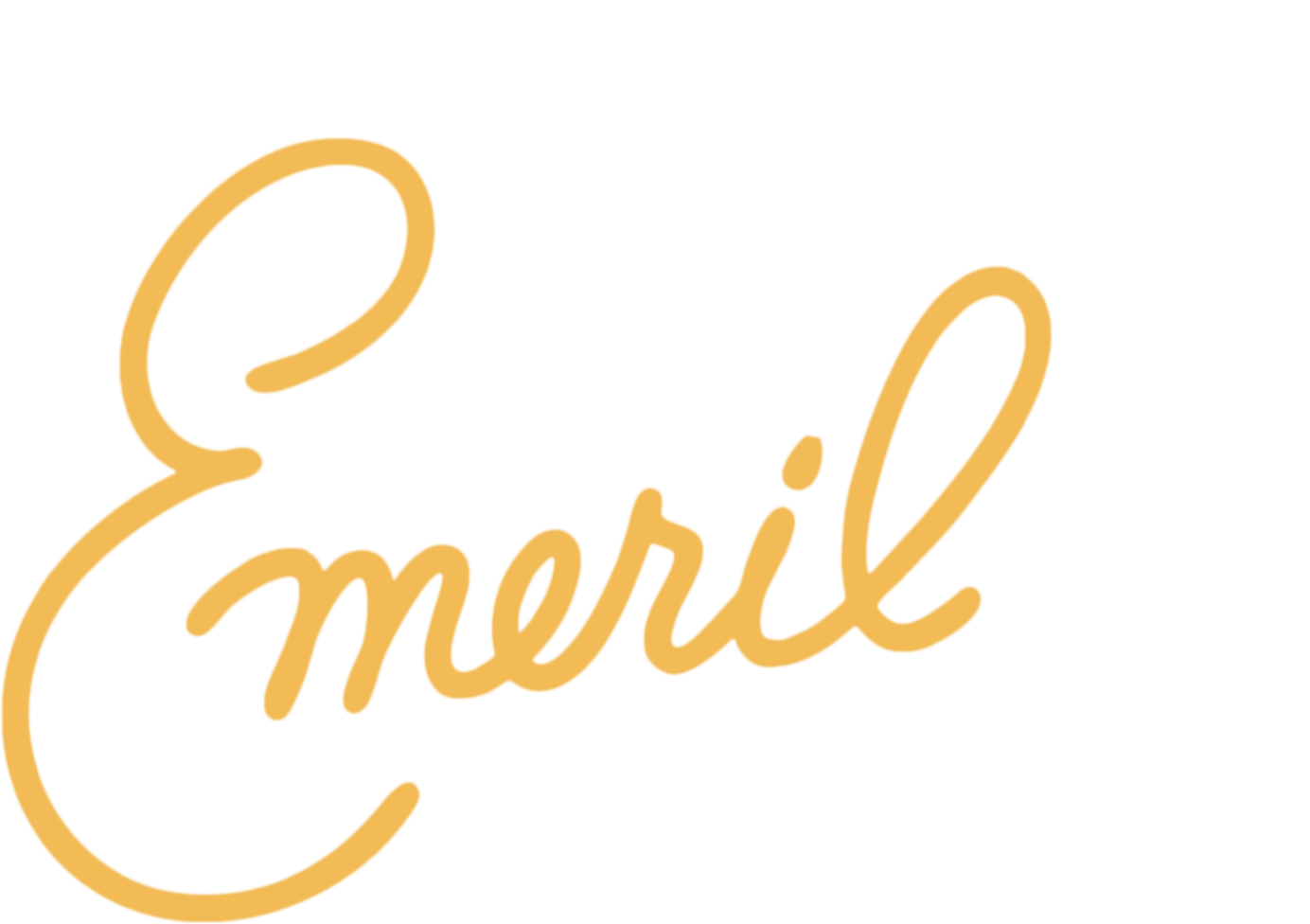 Essence of Emeril show logo