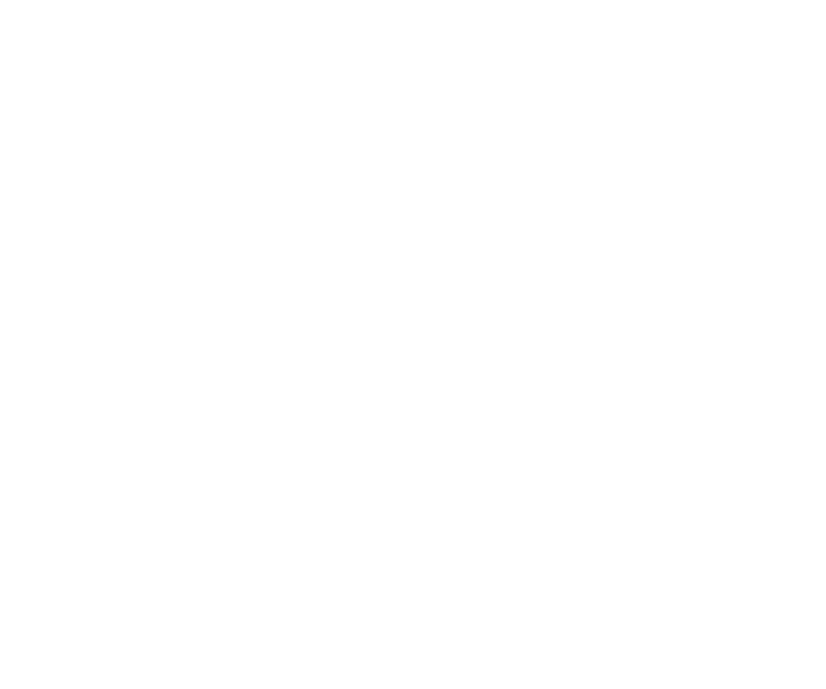 Teen Mom: The Next Chapter show logo
