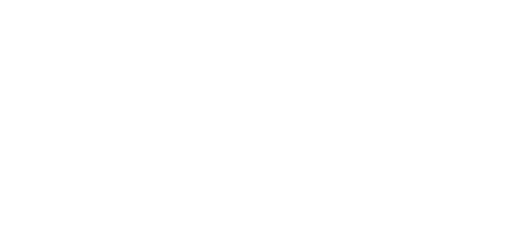 Renovation 911
