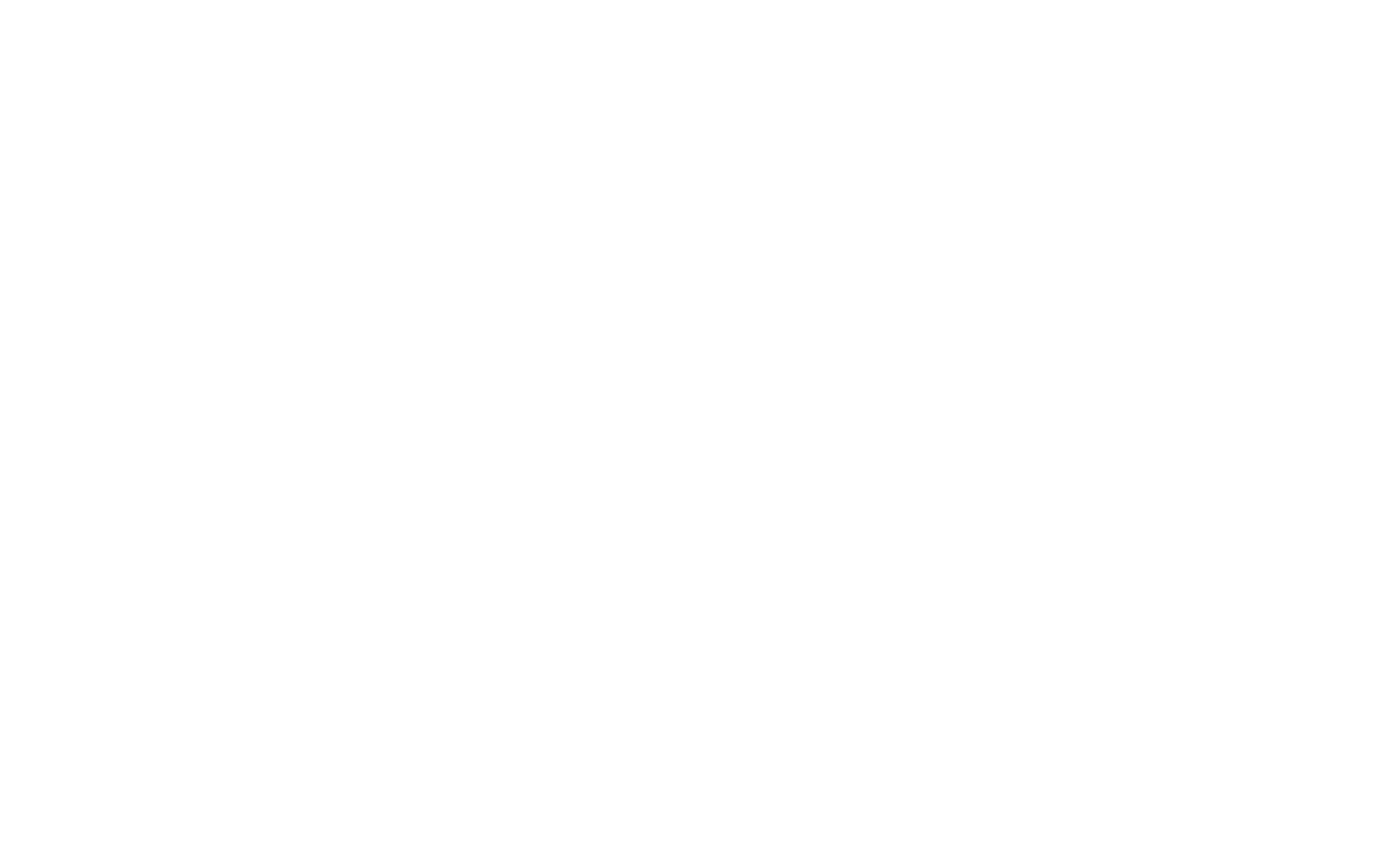 The Killer Bee Catcher show logo