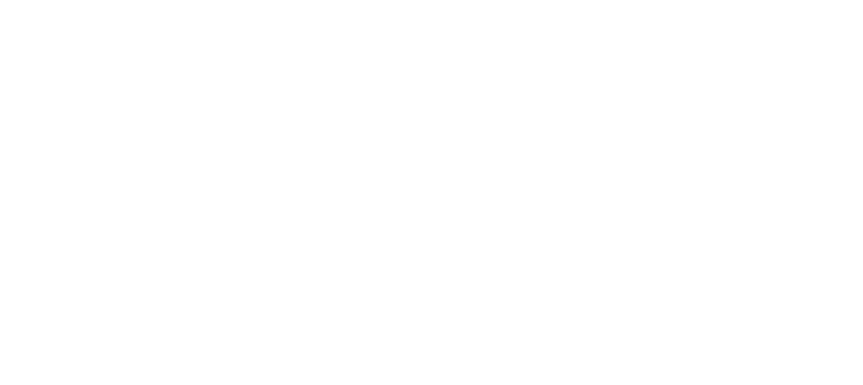 Cabin Chronicles Renovation