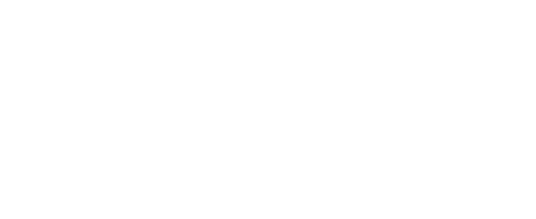 Aerial Italy show logo
