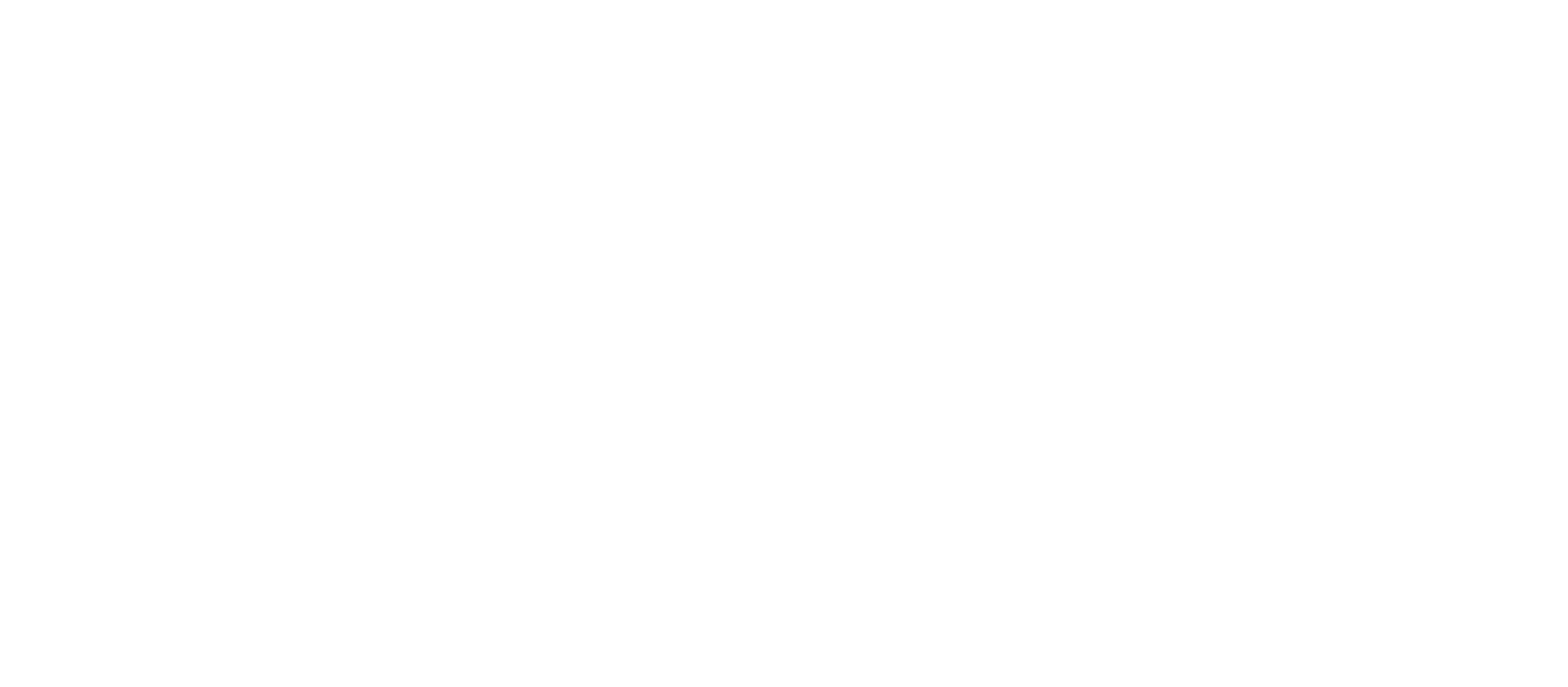 County Rescue show logo