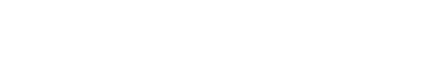 Menem Junior, The Death of a President's Son