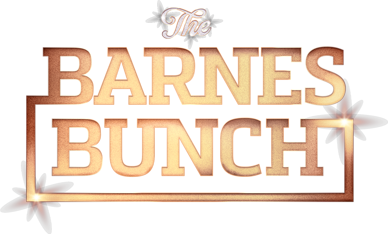The Barnes Bunch show logo