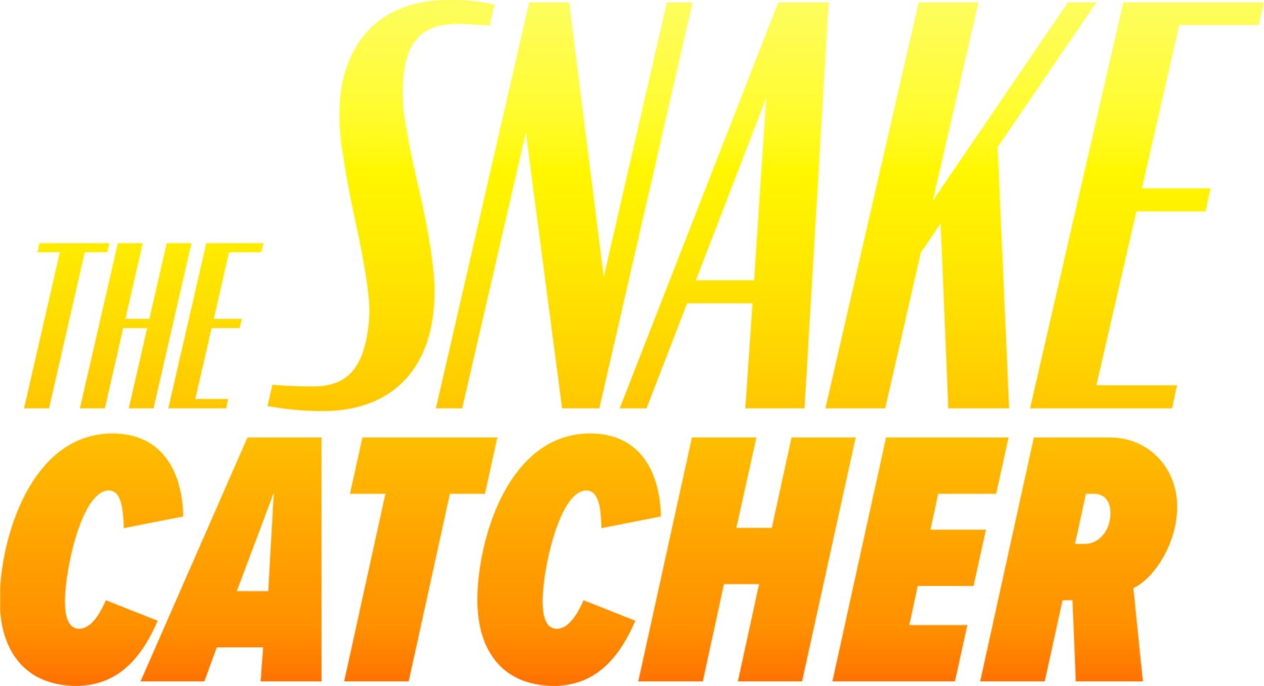 The Snake Catcher
