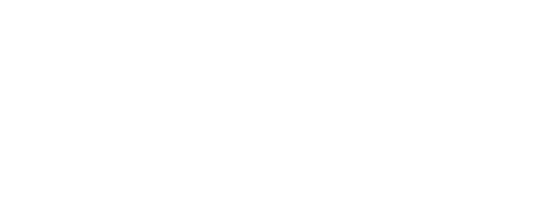 Style Kings show logo
