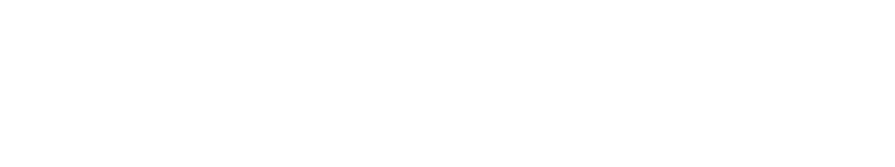 The Last Anniversary