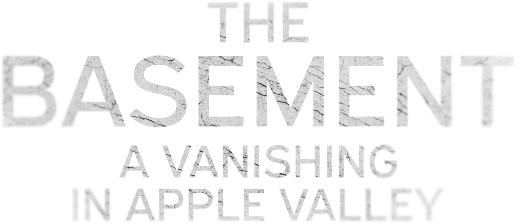 The Basement: A Vanishing in Apple Valley