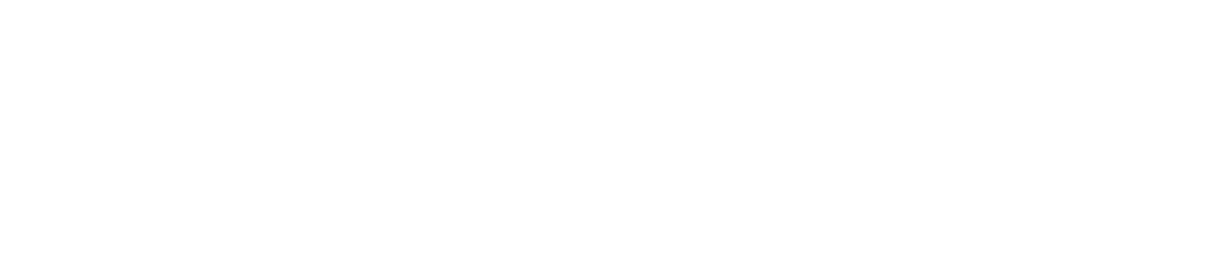 The Revolution show logo