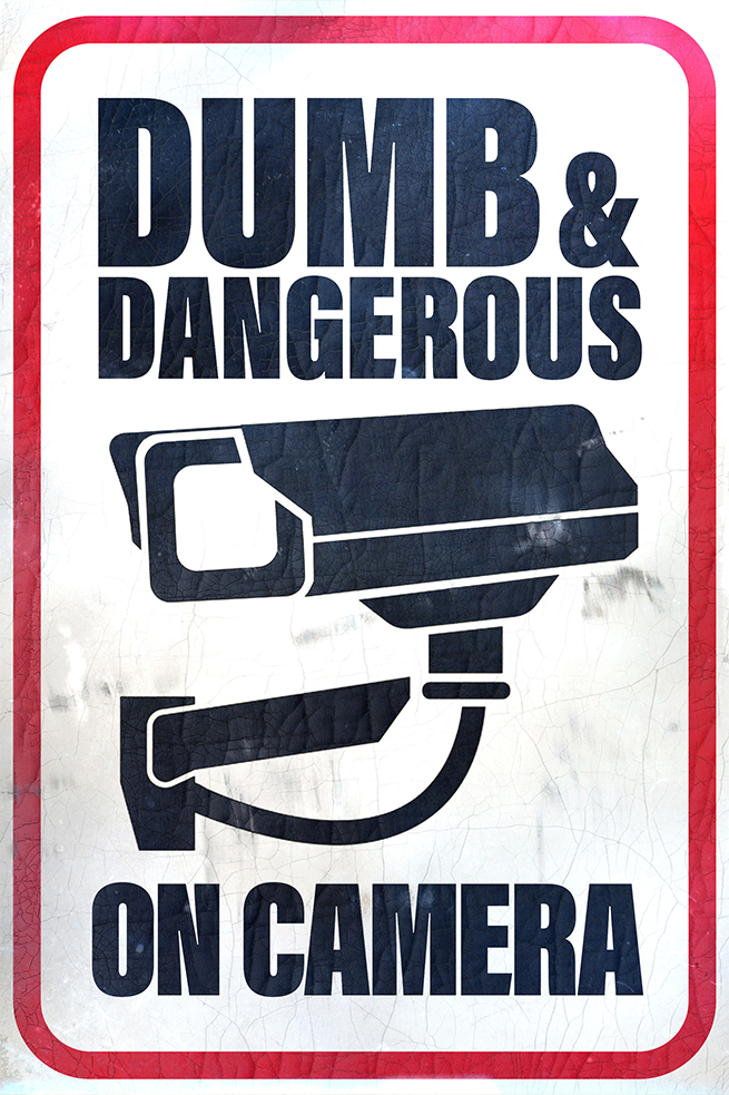 Dumb and Dangerous: On Camera show logo
