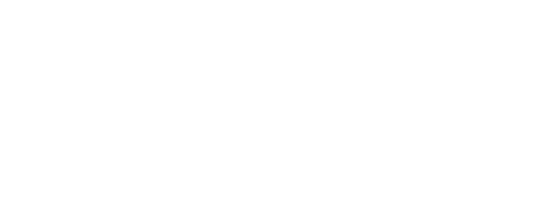 The Assassin
