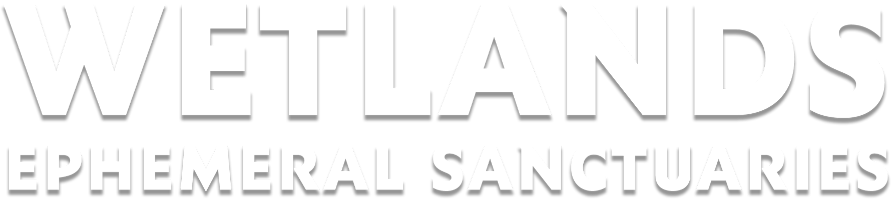 Wetlands: Ephemeral Sanctuaries show logo