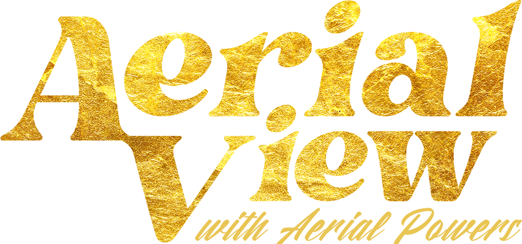 Aerial View show logo